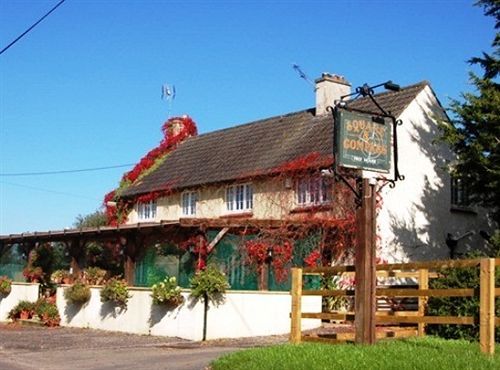 Hotel The Flying Fish Stables Ilminster Esterno foto